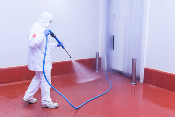 Best Pool Deck Cleaning  in Lavonia, GA