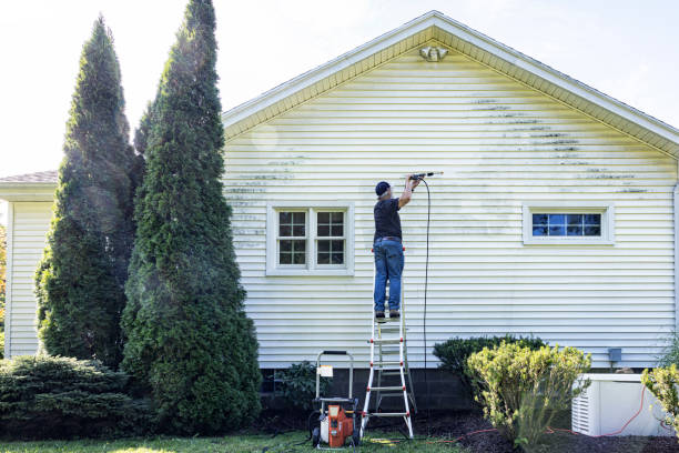 Best Gutter Cleaning  in Lavonia, GA